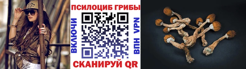Галлюциногенные грибы мухоморы  дарнет шоп  Зуевка 